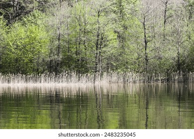 Lake landscape. Summer time background. Water surface panoramic view. Tranquil rural view. Weekend camping. Wavy water reflection. - Powered by Shutterstock