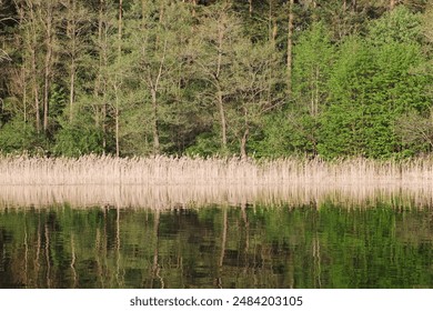 Lake landscape. Summer time background. Water surface panoramic view. Tranquil rural view. Weekend camping. Wavy water reflection. - Powered by Shutterstock