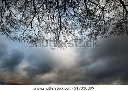 Similar – Image, Stock Photo Trees vs. storm 1 : 0