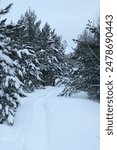 Lake Laurentian trails Ramsey Lake Ontario winter 2023