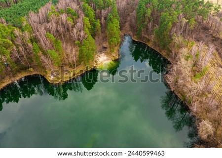 A lake located among forests, whose water is emerald in color. The banks are covered with yellow, dry grasses, leafless trees, between which you can see the green crowns of coniferous trees. 