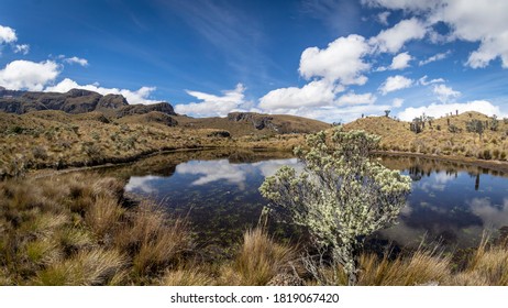 
Lake In Los Nevados National Natural Park In Colombia