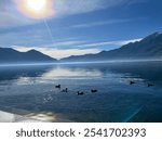 Lake Lugano or Lago Maggiore in Switzerland with ducks swimming on water on a sunny day