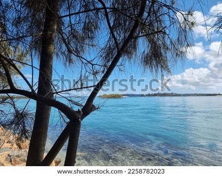 Lake Macquarie viewed through trees from the shore near Swansea New South Wales Australia