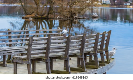 Lake Malaren In The Coast Of Sigtuna, Sweden