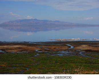 Lake Manyara National Park 