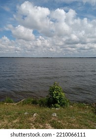 Lake Marion Seen From The Shore