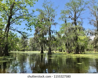 Lake Martin, Louisiana