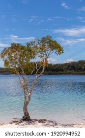 Lake McKenzie Is A Shallow Groundwater Lake On Fraser Island In Queensland, Australia