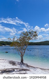 Lake McKenzie Is A Shallow Groundwater Lake On Fraser Island In Queensland, Australia