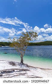 Lake McKenzie Is A Shallow Groundwater Lake On Fraser Island In Queensland, Australia