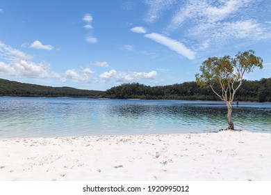 Lake McKenzie Is A Shallow Groundwater Lake On Fraser Island In Queensland, Australia