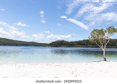 Lake McKenzie Is A Shallow Groundwater Lake On Fraser Island In Queensland, Australia