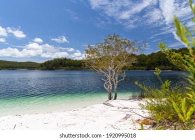 Lake McKenzie Is A Shallow Groundwater Lake On Fraser Island In Queensland, Australia