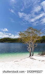 Lake McKenzie Is A Shallow Groundwater Lake On Fraser Island In Queensland, Australia