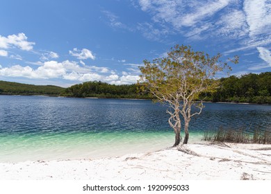 Lake McKenzie Is A Shallow Groundwater Lake On Fraser Island In Queensland, Australia