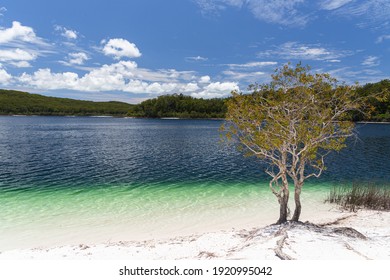 Lake McKenzie Is A Shallow Groundwater Lake On Fraser Island In Queensland, Australia