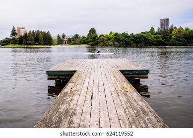 Lake Merritt/ Rower