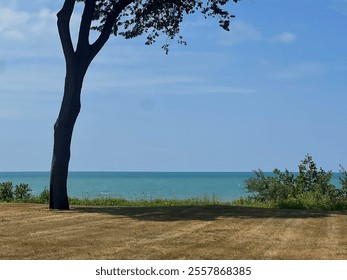 Lake Michigan Beachfront Park View - Powered by Shutterstock