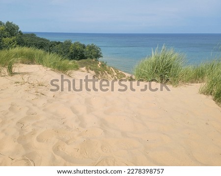 Lake Michigan behind a beautiful sand dune with each grass