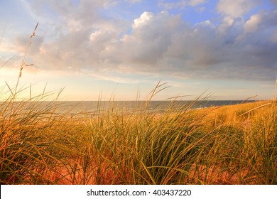 Lake Michigan Dune Grasses