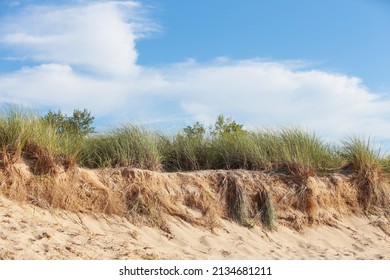 Lake Michigan, erosion of sand dunes with exposed roots, focus in center of image
