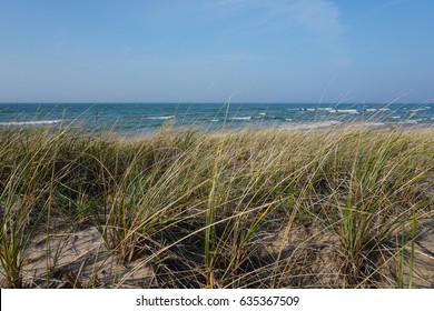 Lake Michigan shore line with beach, beach grass, blue sky, and clouds