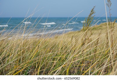 Lake Michigan shore line with beach grass, blue sky, and horizon
