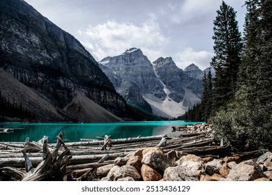 Lake Moraine with driftwood and rocks in the foreground. - Powered by Shutterstock