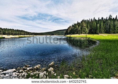 Similar – Dam in the Black Forest