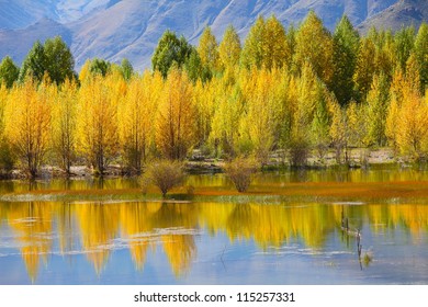 Lake and mountain reflections