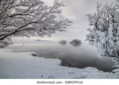 Lake Myvatn In Snowy Time, North Iceland, Winter