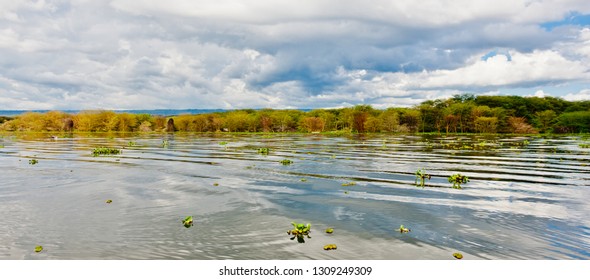 Lake Naivasha In Kenya