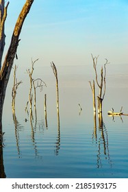 Lake Nakuru in central Kenya in East Africa. The ecosystem of the park is centered around a lake surrounded by meadows and forest thickets. Gentle sunlight of sunrise illuminates the flooded trees.