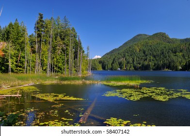 Lake Near Egmont,Sunshine Coast,British Columbia