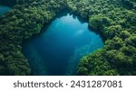 Lake Nestled in Lush Green Forest from Above