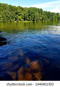 Lake Norman North Carolina In The Summertime 