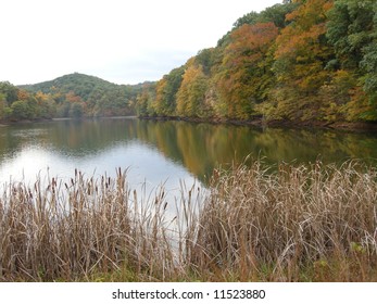 Lake Ogle with cattails