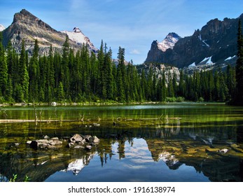 Lake Ohara Shorline View, Yoho National Park