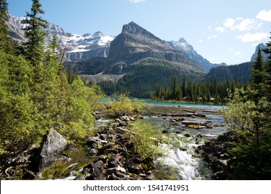 Lake Ohara, Yoho National Park