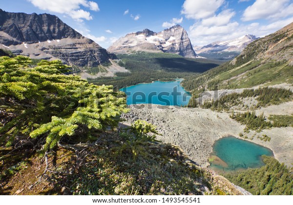 Lake O\'Hara and Yukness Lake as viewed from\
Yukness Mountain.  The hike here was getting a bit steep, a misstep\
could result in a very bad\
situation.