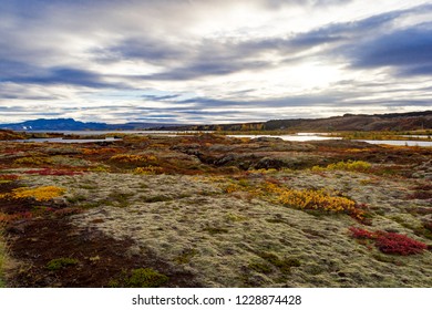 Lake Þingvallavatn On Island