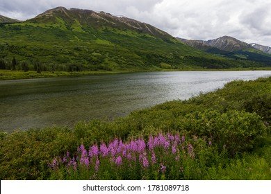 Lake On Kenai Peninsula, Alaska