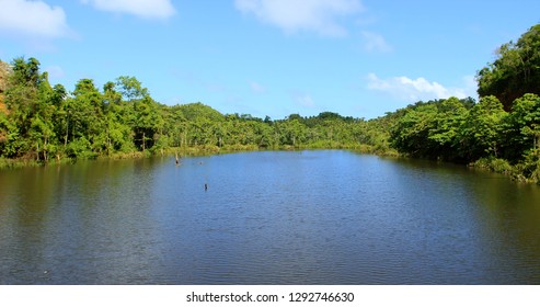 lake with palm forest, philippines