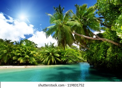Meer en palmen, Mahe eiland, Seychellen: stockfoto