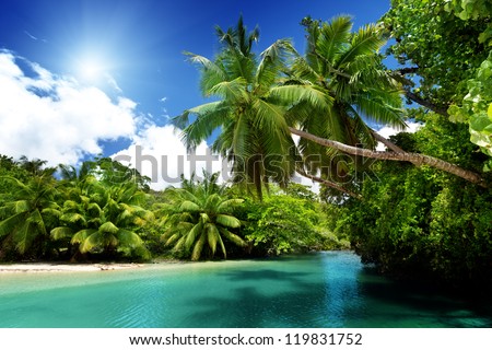 lake and palms, Mahe island, Seychelles