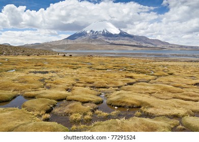 ChungarÃ¡ Lake And Parinacota Volcano, Lauca National Park, Chile