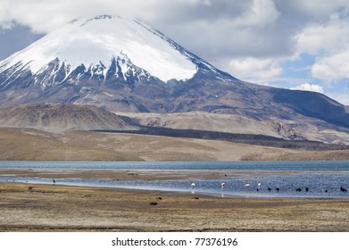 Chungará Lake And Parinacota Volcano, Lauca National Park, Chile