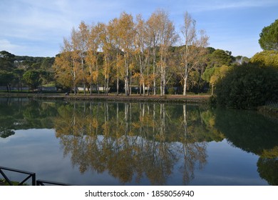 Lake In The Park Villa Ada, Rome