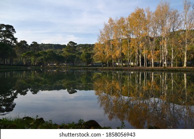 Lake In The Park Villa Ada, Rome